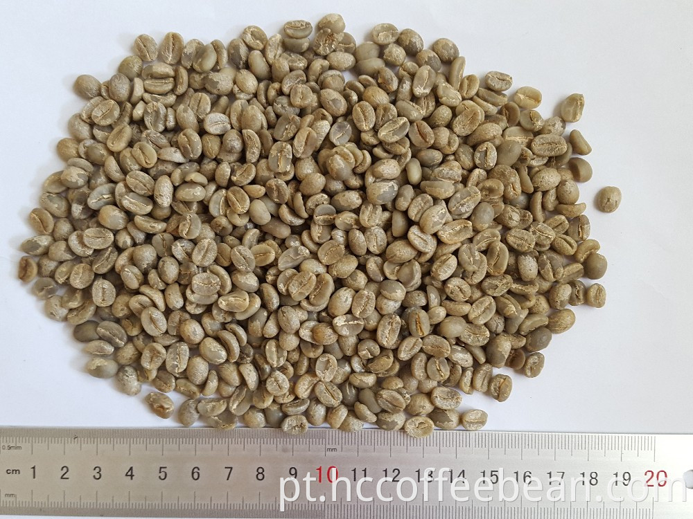 Feijão de café verde-árabe chinês, lavado, colheita nova, tela: 15-16, grau de exportação